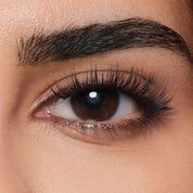 Lashéra All-in-One Magnetic Lashes with applicator